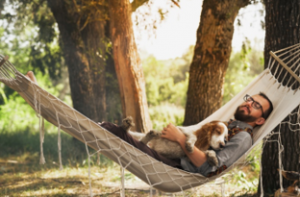 Traveling with Pets: A Family Affair